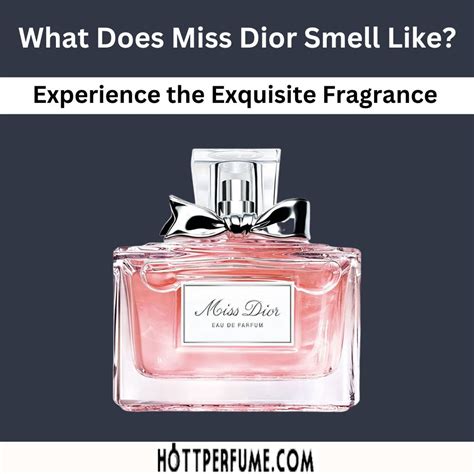 miss dior billig|what does miss dior smell like.